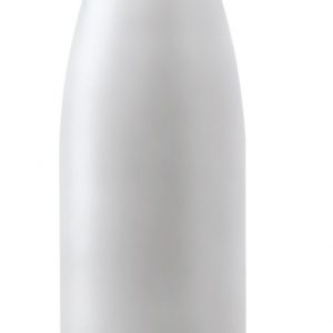 Rextan stainless steel bottle