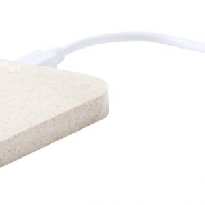 Riens wireless charger