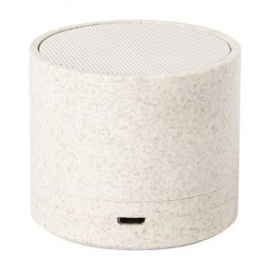 Cayren bluetooth speaker