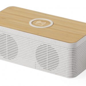 Trecam charger bluetooth speaker