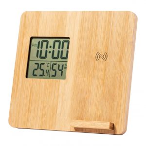 Fiory charger weather station