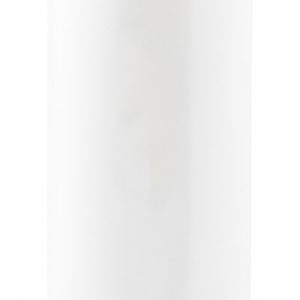 Pigot stainless steel bottle
