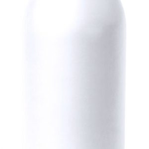 Bucky stainless steel bottle