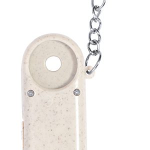 Evelyn trolley coin keyring