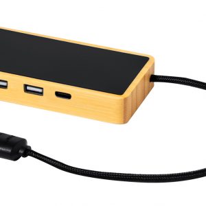 Ginger USB hub