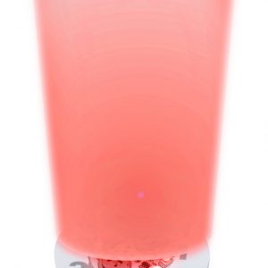 Stanfor coaster