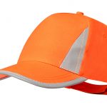 orangeAP733927