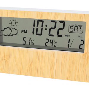 Roamer weather station