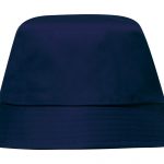 dark blueAP734227