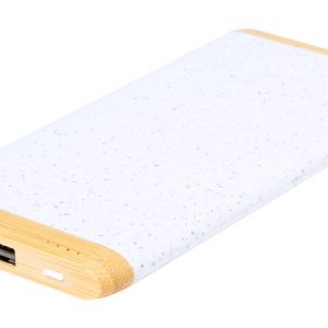 Coquin power bank