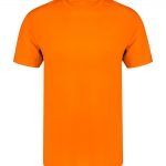 orangeAP735290