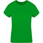greenAP735291