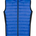 blueAP735296