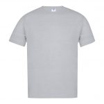 greyAP735390
