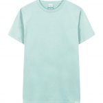 pastel greenAP735442