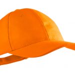 orangeAP741888