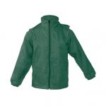 dark greenAP761818