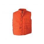 orangeAP761824