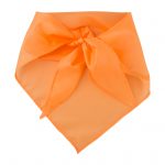 orangeAP761999
