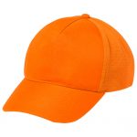 orangeAP781297
