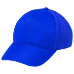 blueAP781297
