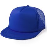 blueAP781500