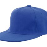 blueAP791569