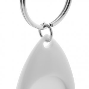 Nelly trolley coin keyring