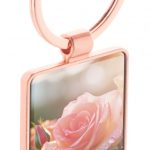roseAP808152
