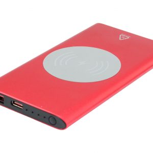 RaluWir power bank