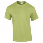 Pistachio GI2000