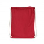 Hibiscus Red KI0139