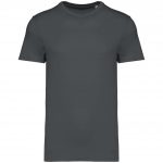 Iron Grey NS305
