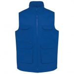 Royal Blue WK607
